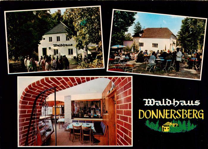 Dannenfels Waldhaus Donnersberg Gastraum Gartenwirtschaft