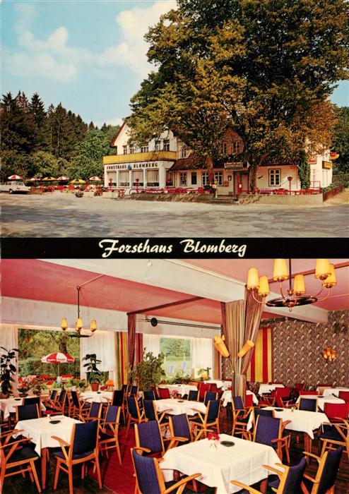 Blomberg Lippe Forsthaus Blomberg Gastraum