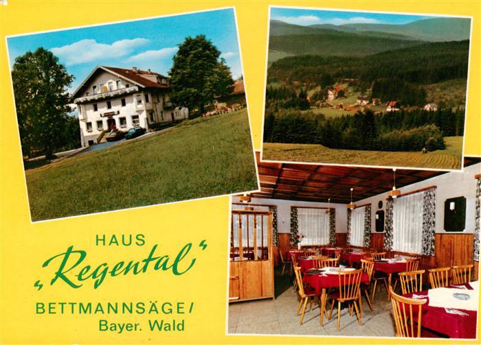 Bettmannsaege Regen Haus Regental Gaststube Panorama