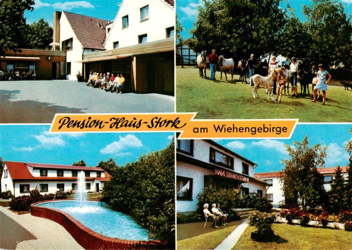 Bad Holzhausen Luebbecke Preussisch Oldendorf NRW Pension Haus Stork Pool Ponys
