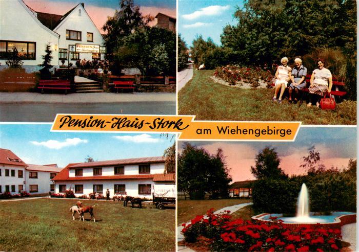 Bad Holzhausen Luebbecke Preussisch Oldendorf NRW Pension Haus Stork Park Ponys