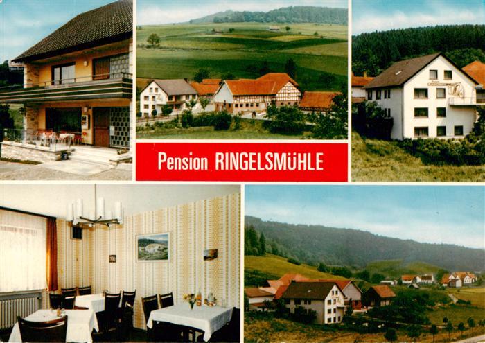 Oberaula Pension Ringelsmuehle Panorama Gastraum