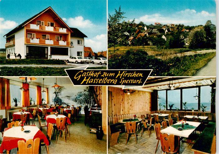 Hasselberg Main Gasthof zum Hirschen Gastraeume Panorama