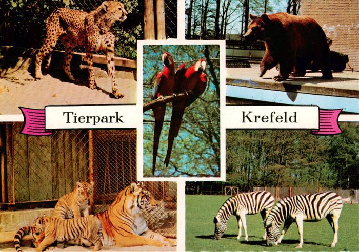 Krefeld Crefeld Tierpark Krefeld Gepard Tiger Baeren Papageien Zebras