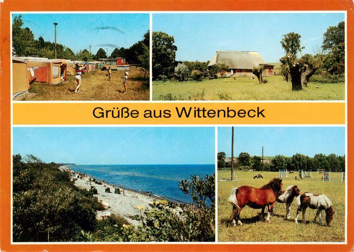 Wittenbeck Campingplatz Ortsmotiv Strand Ponys
