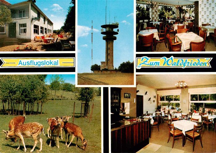 Havixbeck Ausflugslokal Zum Waldfrieden Gastraeume Funkturm Rehwild