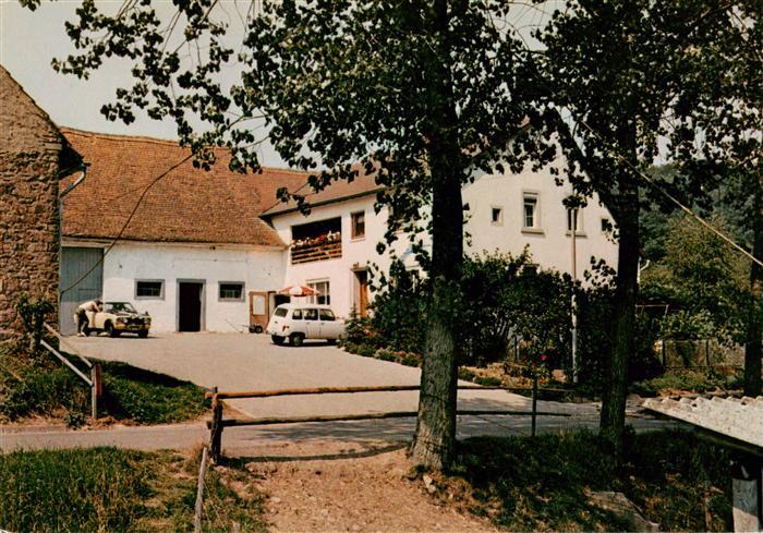 Falkenstein Pfalz Pension Otto Schlaefer