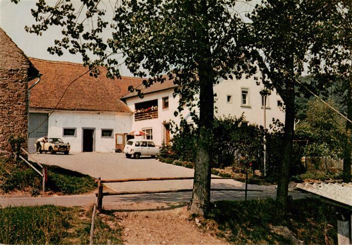 Falkenstein Pfalz Pension Otto Schlaefer