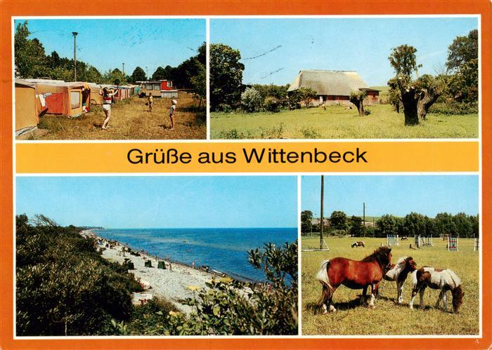 Wittenbeck Campingplatz Ortsmotiv Strand Ponys