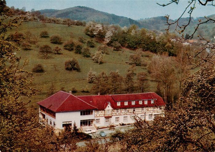 Winkel Odenwald Restaurant Cafe Pension Zum Wiesengrund