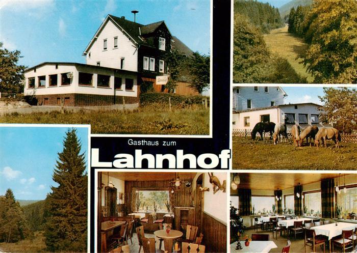 Lahnhof Gasthaus zum Lahnhof Gastraeume Pferdekoppel Waldpartie