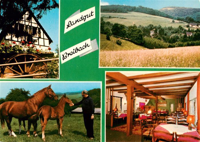 Breibach Kuerten Landgut Breibach Gastraum Panorama Stute mit Fohlen