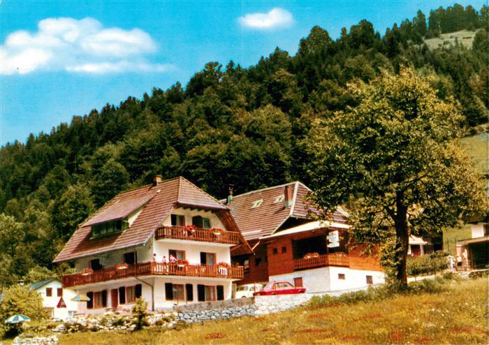 Glashuette Todtmoos Gasthaus Pension Zum Wildbach