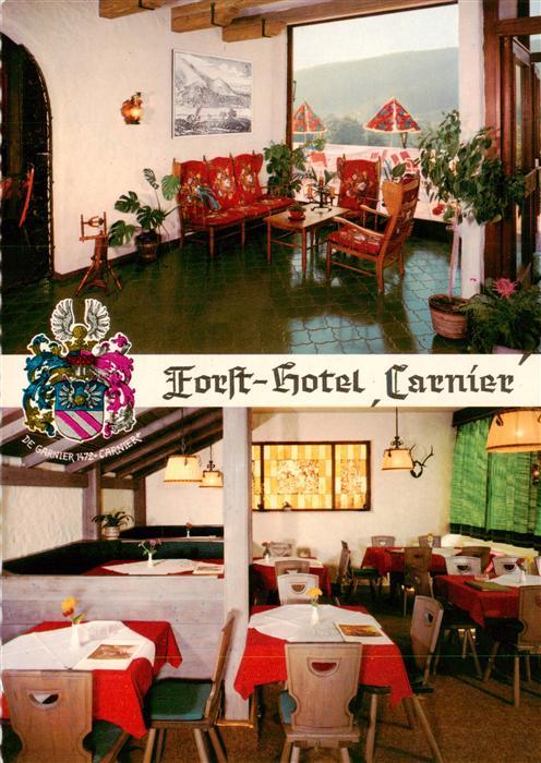 Bad Koenig Odenwald Forst Hotel Carnier Gastraeume