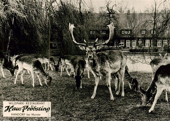 Handorf Muenster Westfalen Wildpark Restaurant Haus Proebsting