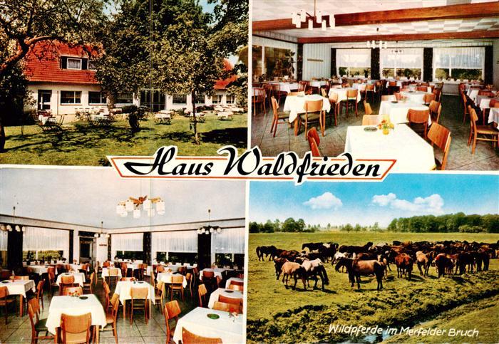 Duelmen Gasthaus Waldfrieden am Wildpark Gastraeume Wildpferde