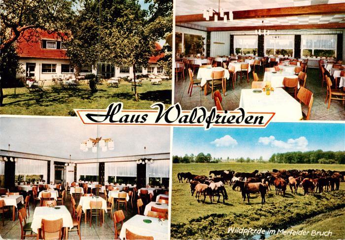 Duelmen Gasthaus Waldfrieden am Wildpark Gastraeume Wildpferde im Merfelder Bruc