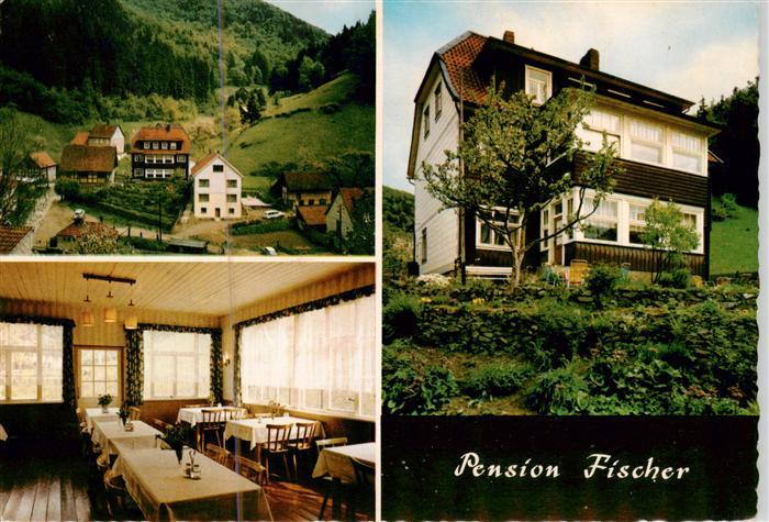 Zorge Harz Pension Fischer Gastraum Panorama