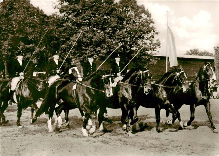 Warendorf NRW Hengstparade Landgestuet