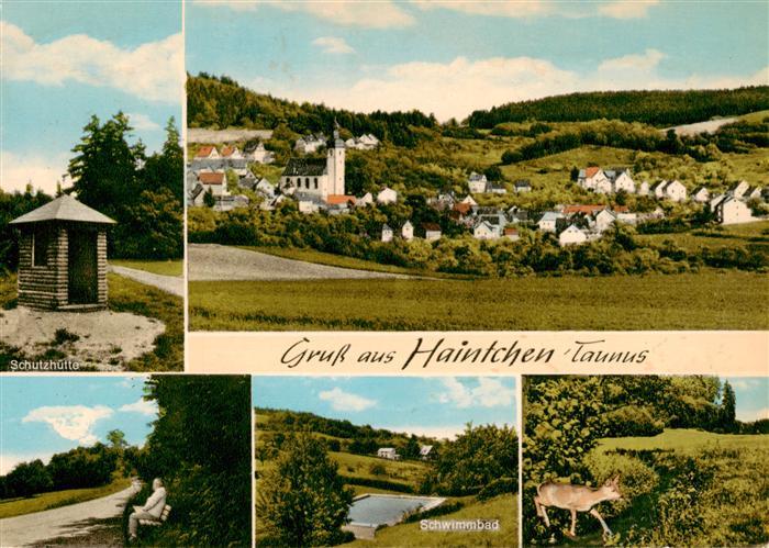 Haintchen Selters Taunus schutzhuette Panorama Ruhebank Schwimmbad Reh