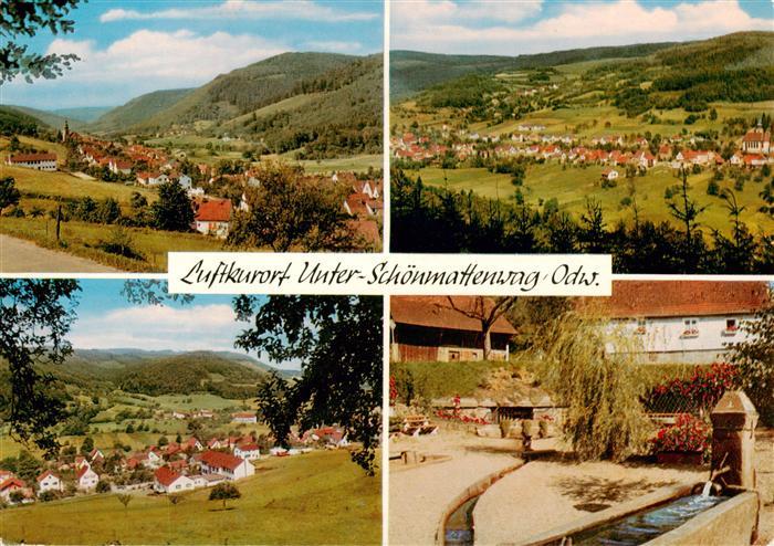 Unter Schoenmattenwag Panorama Brunnen