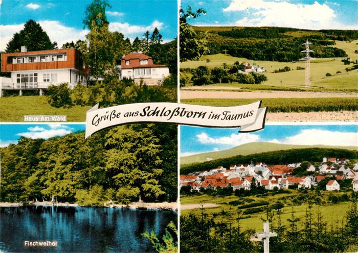 Schlossborn Haus am Wald Fischweiher Landschaftspanorama Gesamtansicht