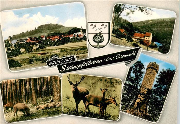 Struempfelbrunn Waldbrunn Gesamtansicht Aussichtsturm Wildschweine Hirsch