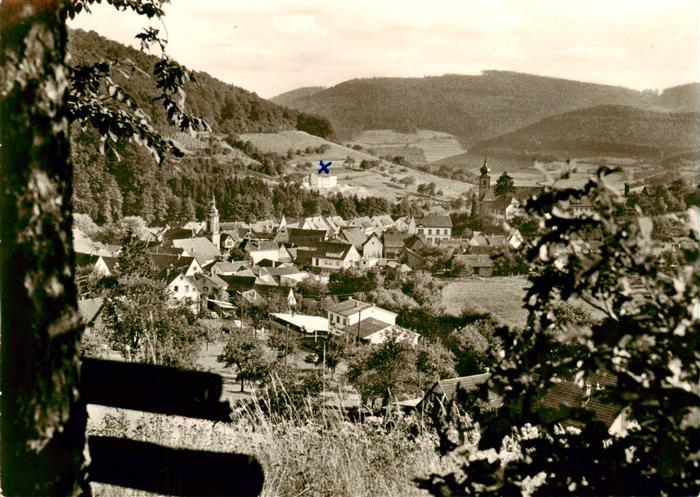 Heiligkreuzsteinach mit Jugendhaus St Georg