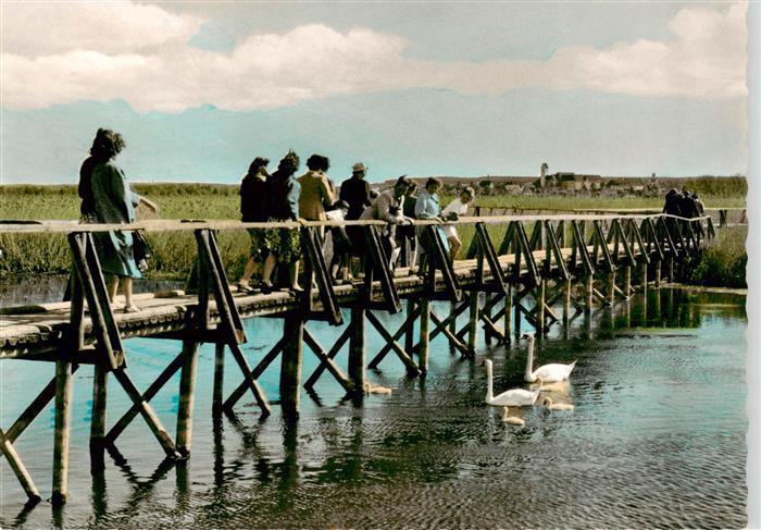 Bad Buchau Federsee Moorheilbad Laufsteg zum Federsee