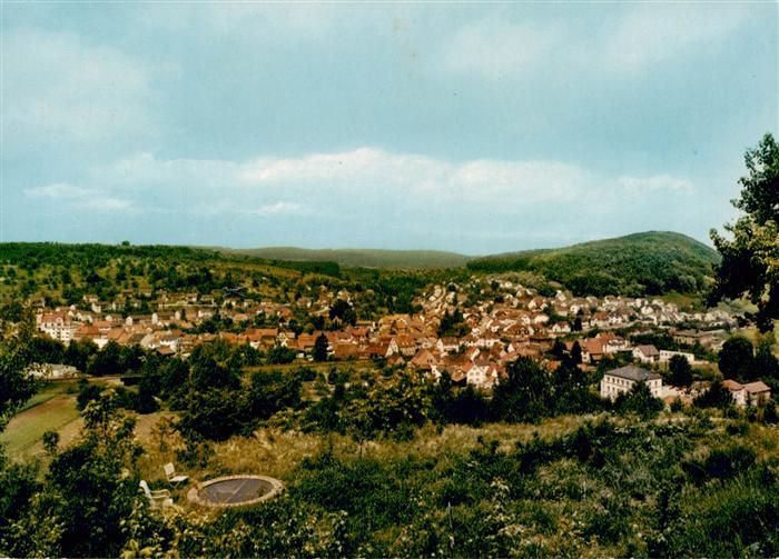 Bammental Panorama