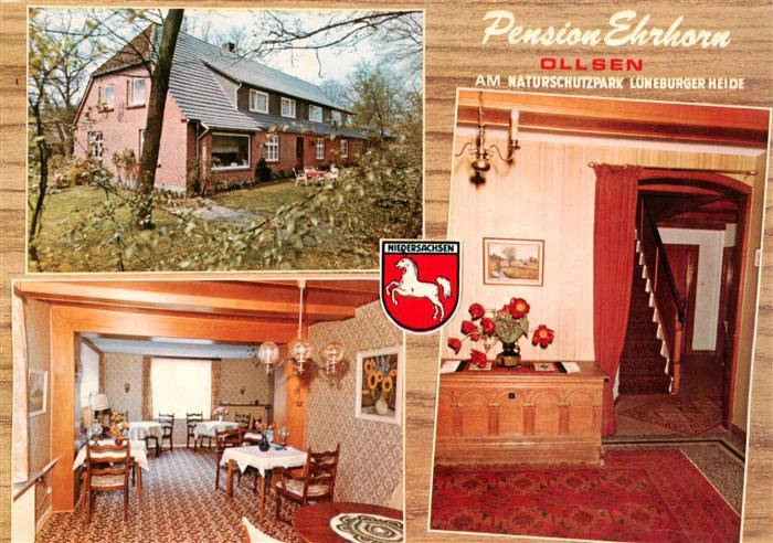 Ollsen Hanstedt Pension Ehrhorn Gaststube Treppenaufgang