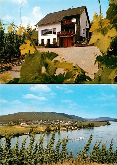 Poelich Eugen Heuchler Weinbau Weinversand Panorama