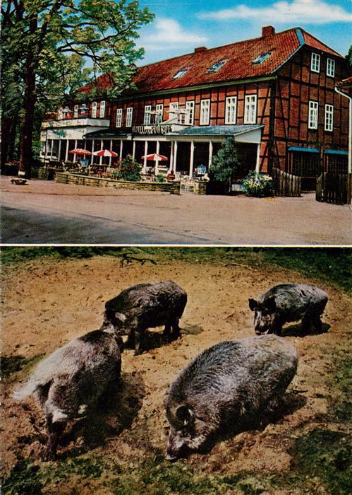 Goehrde Hotel zur Goehrde Naturpark Wildschweine