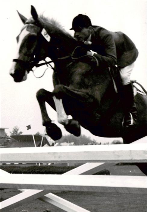 Sport Reiten Pferd