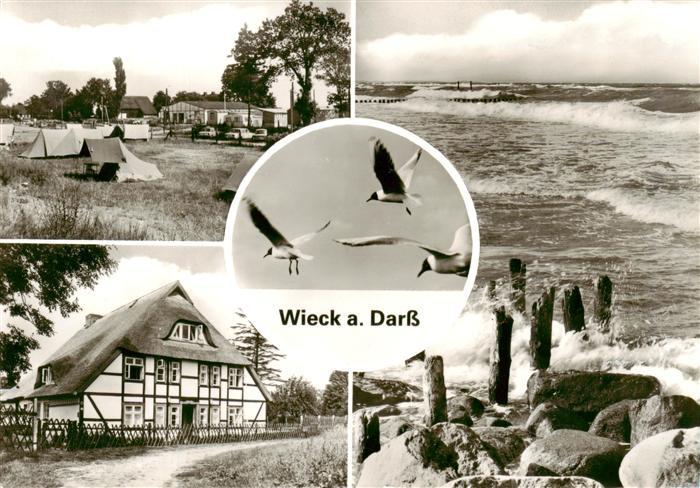 Wieck Darss Zeltplatz Sturm Reetdachhaus