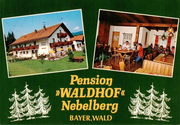Langdorf Regen Pension Waldhof Nebelberg Gaststube
