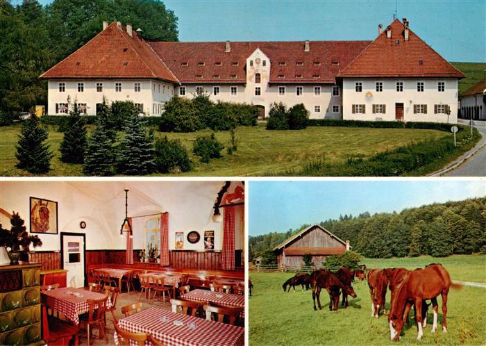 Ohlstadt Gestuetsgasthof Herzogin Anna Stammgestuet Schwaiganger