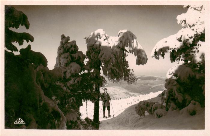Vosges Vogesen Region Les Vosges en hiver