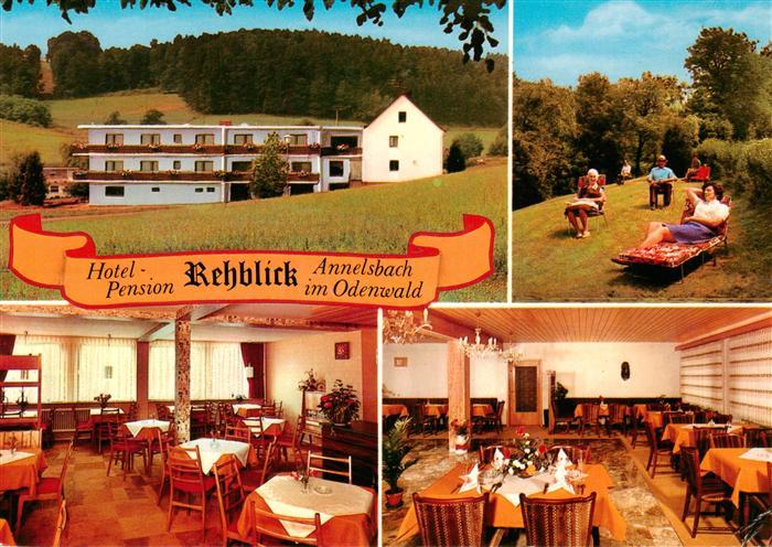 Annelsbach Hoechst  Odenwald Hotel Pension Rehblick Gastraeume Liegewiese