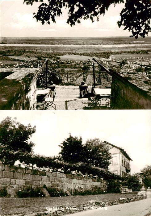 Frauenstein  Wiesbaden Panorama Gaststaette Weingut Hof Nuernberg
