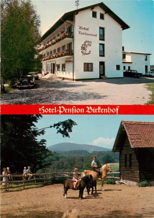 Ranfels Hotel Restaurant Birkenhof Ponyreiten