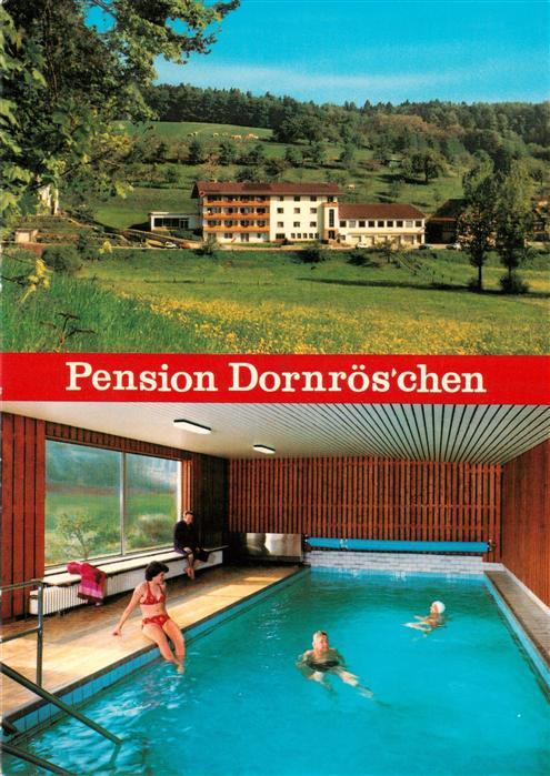 Hoechst Odenwald Pension Dornroeschen Gasthaus Cafe Hallenbad