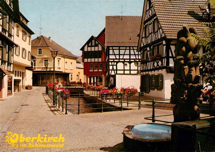 Oberkirch Baden Bachanlagen mit Narrenbrunnen
