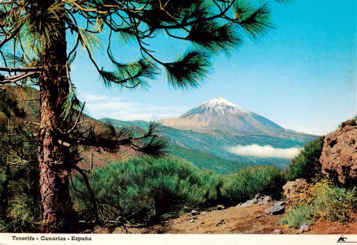 Tenerife Islas Canarias Spanien ES Pico del Teide desde el Monte de la Esperanza