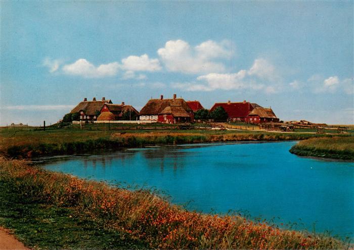 Hallig Hooge Schulwarft