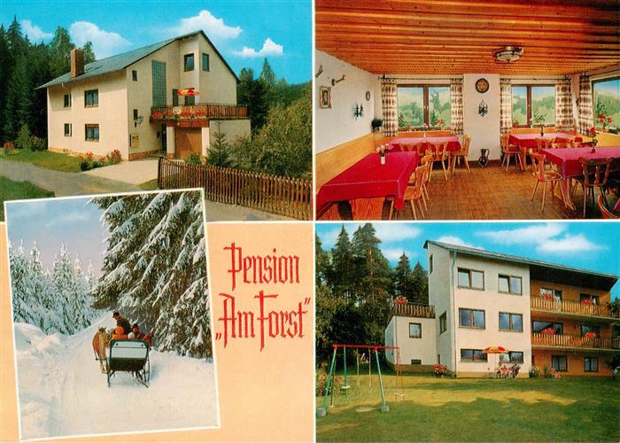 Alexandersbad Bad Pension Amt Forst Gastraum Pferdeschlitten
