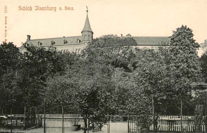 Ilsenburg Harz Blick zum Schloss