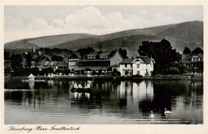 Ilsenburg Harz Blick ueber den Forellenteich