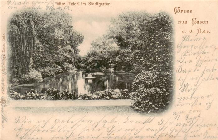 Essen  Ruhr Alter Teich im Stadtgarten