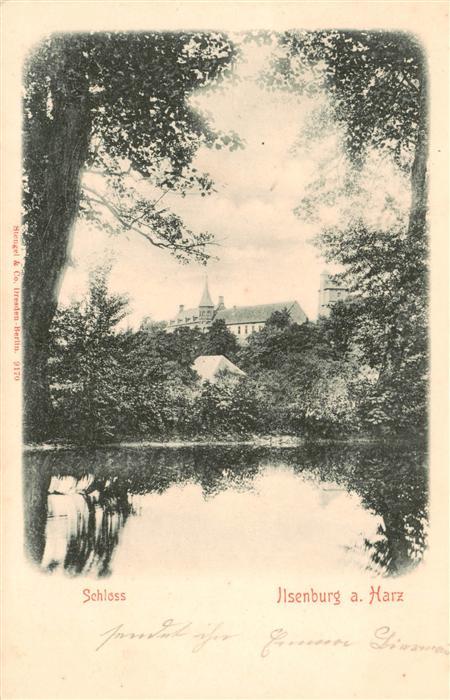 Ilsenburg Harz Blick zum Schloss